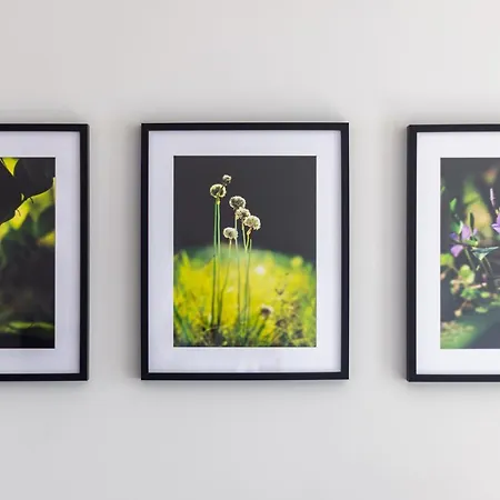 Victus Apartamenty, Antonina * Zoppot