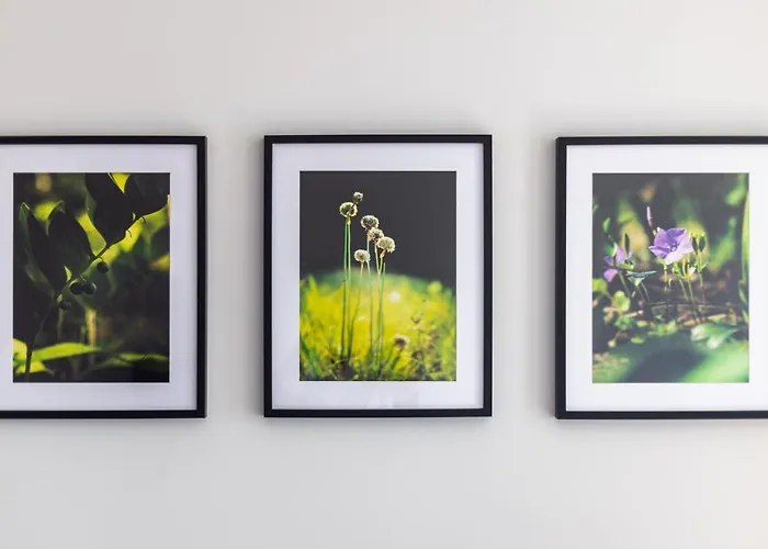 Victus Apartamenty, Antonina * Zoppot